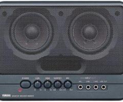 Monitor speaker