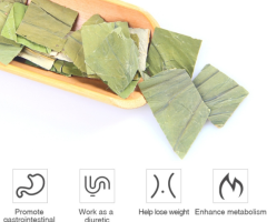 Lotus leaf tea - Image 2