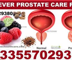 Natural Solution for  Prostatitis in Ghana Accra Kumasi Tamale - Image 2