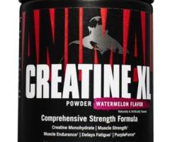 ANIMAL CREATINE XL (280G)