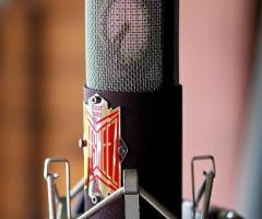 Microphone - Image 3