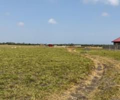 Prampram litigation-free lands for sale - Image 3