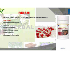 Kedi Health Combo High Blood Pressure Cure - Image 2