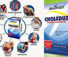 Alliance In Motion Global DIABETES CONTROL SUPPLEMENTS: C24/7, CHOLEDUZ & RESTORLYF - Image 4