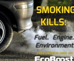 Ecoboost - Image 2