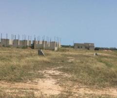 Prampram-Tsopoli Litigation free Lands for Sale - Image 3