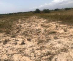 Dawa Genuine Lands for Sale