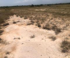 Dawa Esate Litigation free Lands for Sale