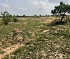 ESTATE LANDS FOR SALE IN DAWA - Image 2