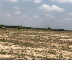 ESTATE LANDS FOR SALE IN DAWA - Image 4