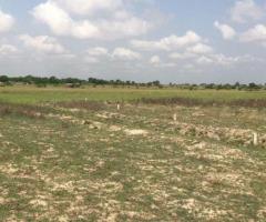 Dawa Genuine Estate Lands for Sale