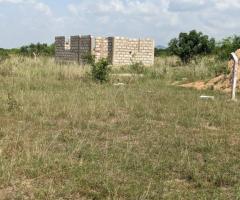 Afienya-Mobole Genuine Lands for Sale - Image 3