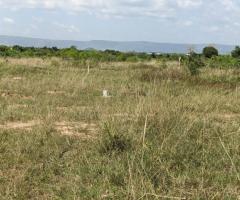 Afienya-Mobole Genuine Lands for Sale - Image 4