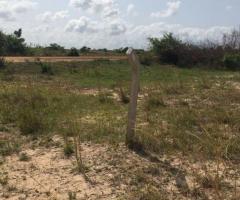 GENUINE LANDS FOR SALE IN DAWA. NO LITIGATION