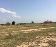 Promotion!! Prampram(Bueko) Genuine Lands for Sale - Image 3