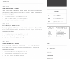 Resume Template 01