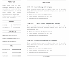 Resume Template 03