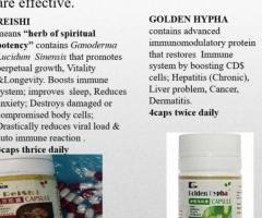 Best Immune Support - KEDI RESHI & GOLDEN HYPHA