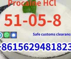 High purity cas 51-05-8 procaine Hcl hydrochloride global shipping