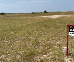 Gated Estate Land For Sale at tsopoli - Image 3