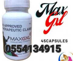 Max GXL Supplement - Image 4