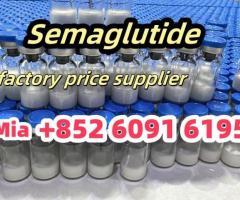 Semaglutide CAS 910463-68-2 Source Factory Supply Weight loss tool